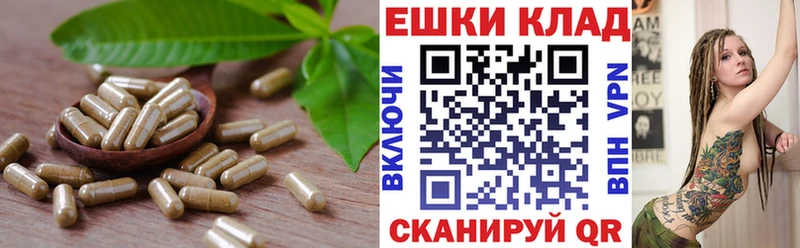 сколько стоит  Новочеркасск  ЭКСТАЗИ DUBAI 